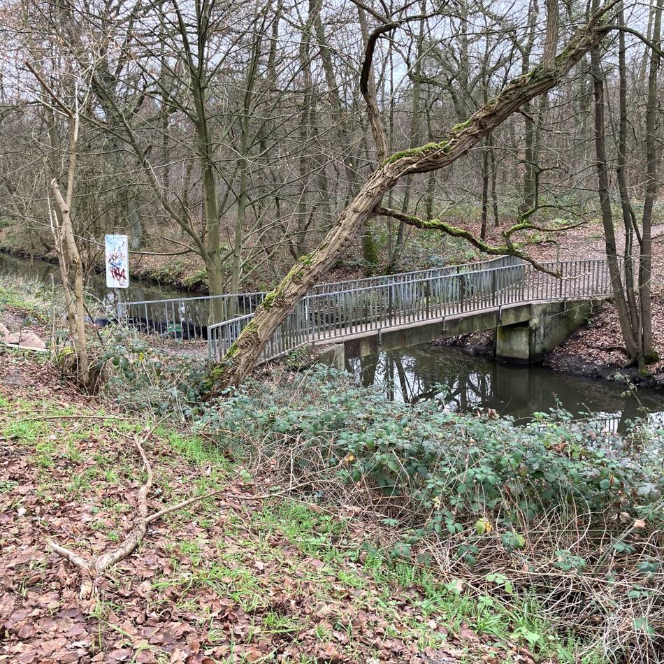 Entscheidung über Brücken-Neubau am Kaarster See vertagt: „Dafür so viel Geld auszugeben, ist Wahnsinn“