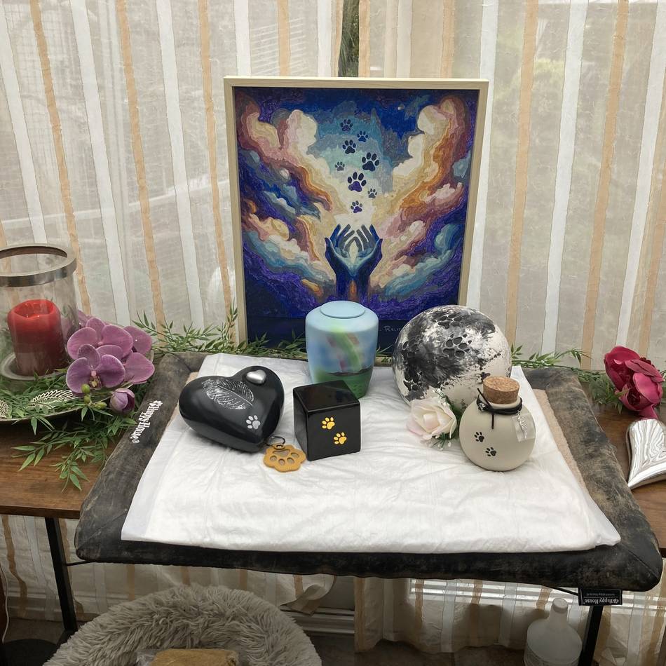 Abschied vom geliebten Haustier: Ein Ruheplatz für Katzen und Hunde