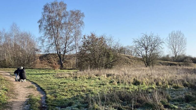 Neues Ausflugsziel: Die Wisseler Dünen bekommen einen Aussichtsturm