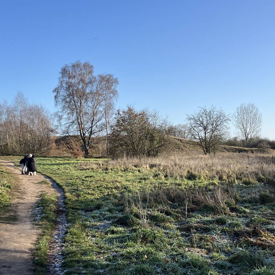 Neues Ausflugsziel: Die Wisseler Dünen bekommen einen Aussichtsturm