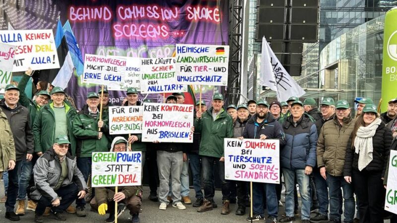 Kriitik an Mercosur-Abkommen: „Nur Tropfen auf den heißen Stein“ – Proteste der Bauern zeigen Wirkung