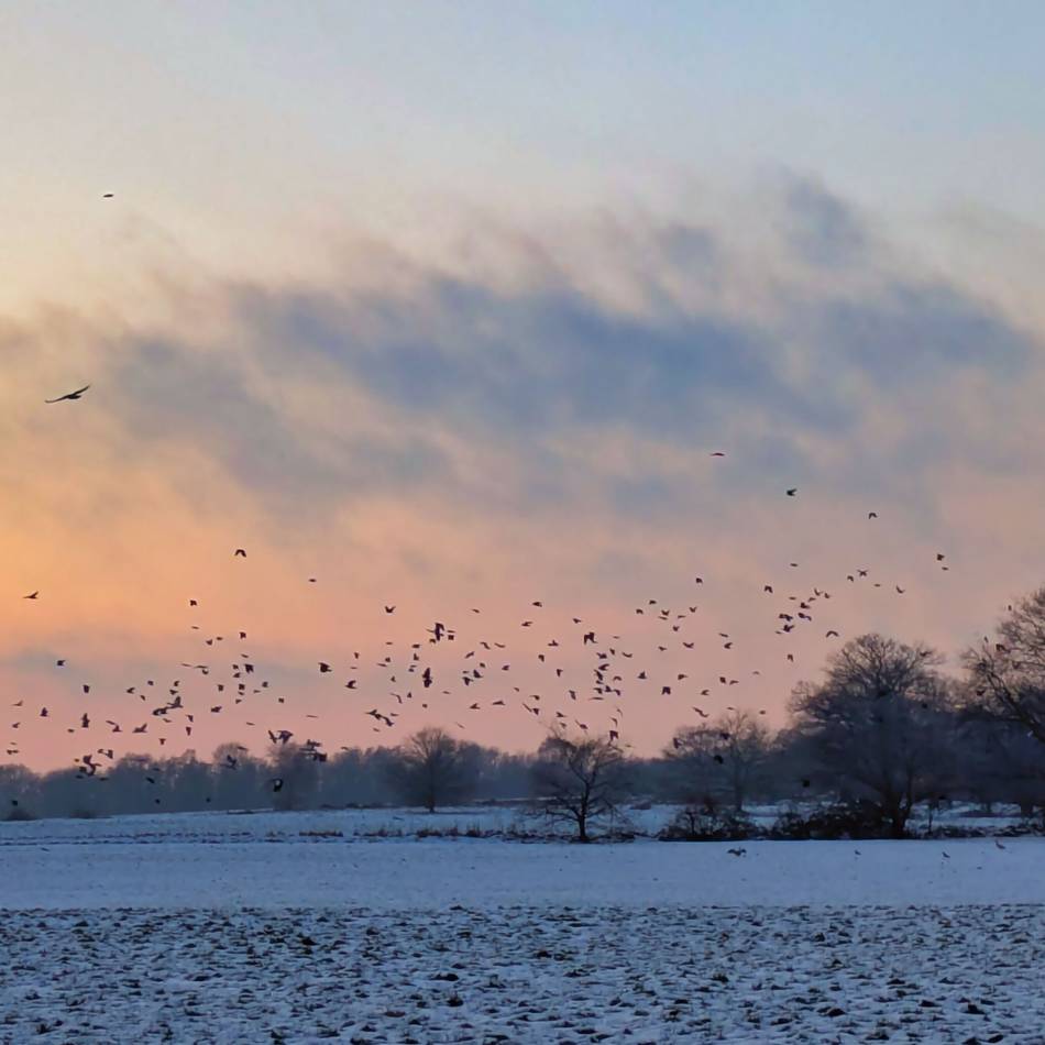 Fotos unserer Leserinnen und Leser: So schön ist der Winter in Krefeld