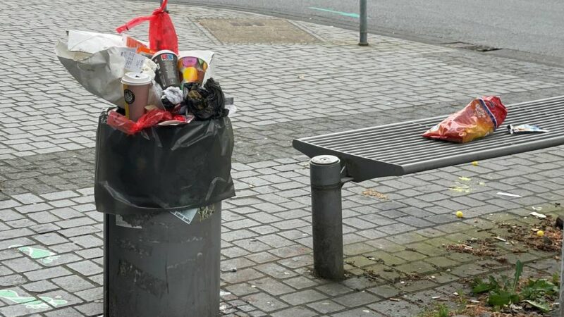 Bilanz zum Mängelmelder in Wermelskirchen: Müll dominierte Beschwerden im vergangenen Jahr