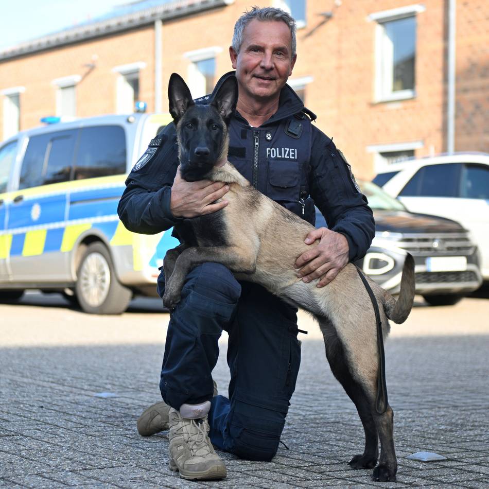 Diensthund in Ausbildung: Neue Schnüfflerin für die Kreispolizei