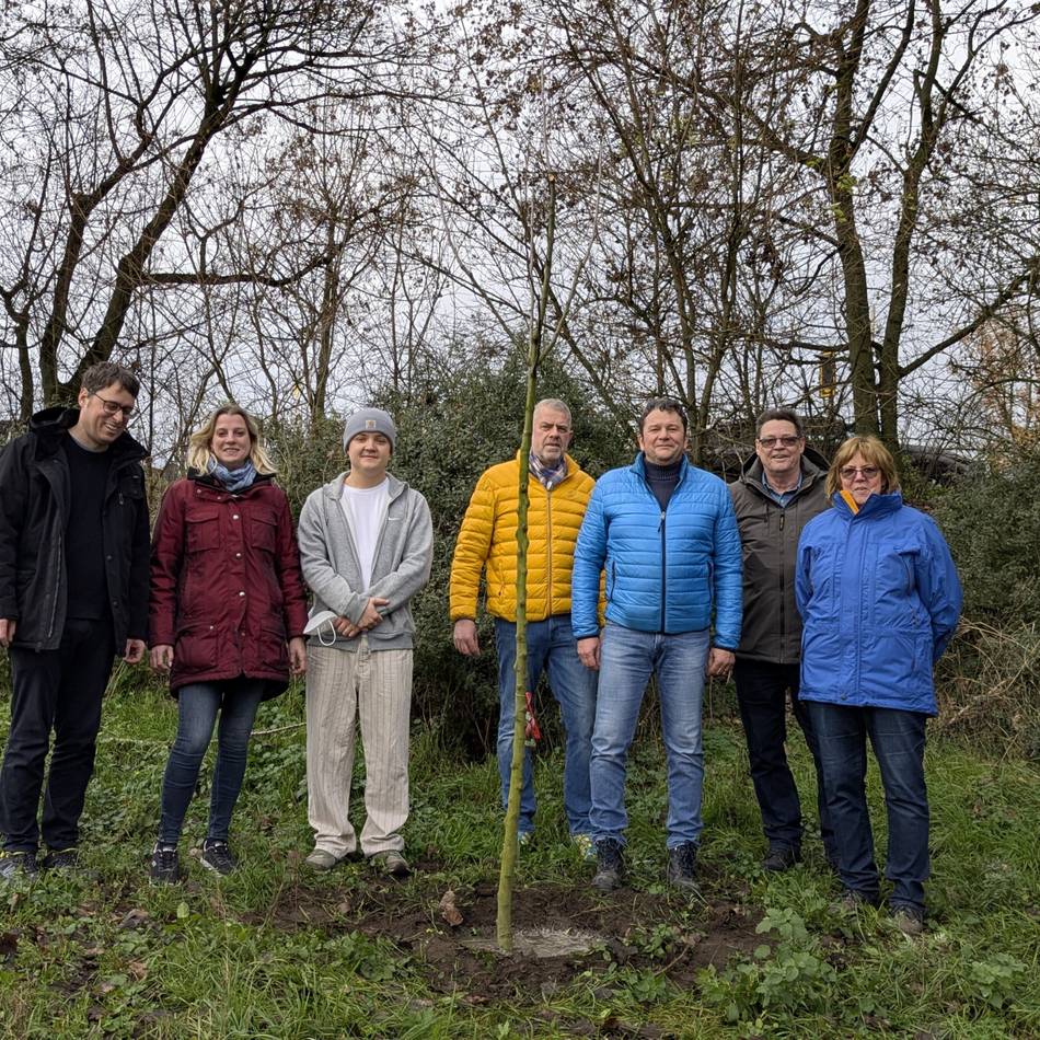 Für den Angelverein: Gespendeter Apfelbaum am Kuhteich in Orsoy eingepflanzt