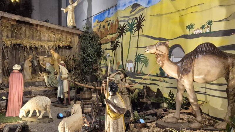 So war das „Krippche luure“ im Neusser Süden: Von flauschigen Schafen und Kamelen auf Abwegen