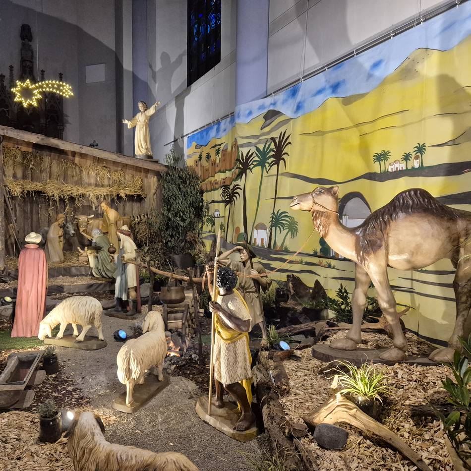 So war das „Krippche luure“ im Neusser Süden: Von flauschigen Schafen und Kamelen auf Abwegen