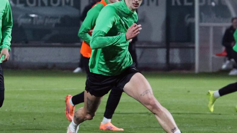 Fohlenfutter-Debatte: Soll Cvancara bei Borussia bleiben oder gehen?