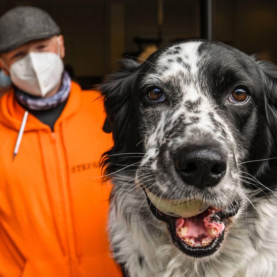 Gewerbeobjekt gesucht: Tiertafel Moers braucht mehr Platz