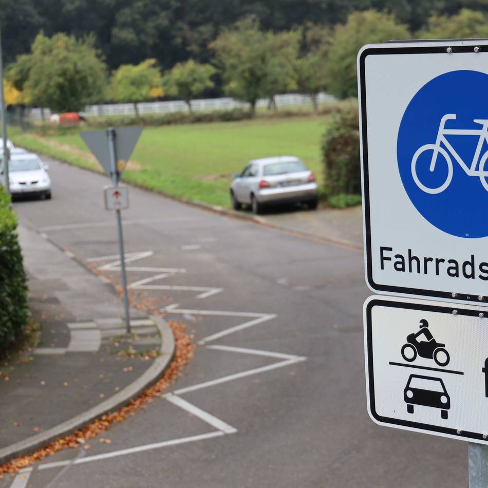 Für Verkehrssicherheit in Leverkusen: Baumpflege am Grüner Weg
