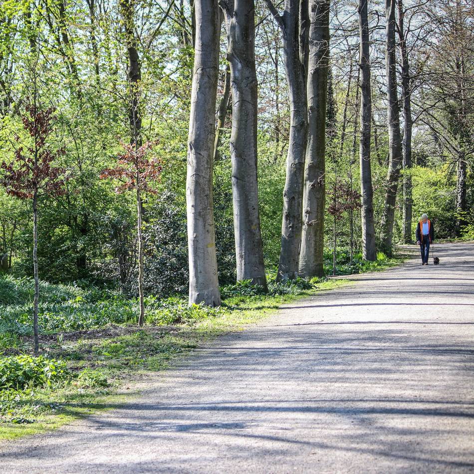 MIT-Vorsitzender übt Kritik: Für CDU-Politiker Conrad ist Haushaltsmisere selbst gemacht