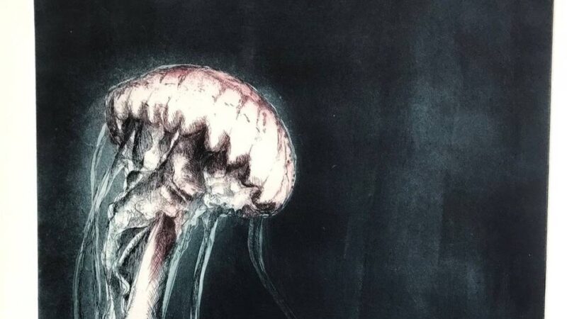 Neue Ausstellung im Museum Voswinckelshof: „…und am Ende des Blau ist Struktur“