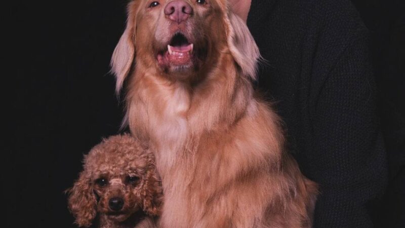 Ratingerin fordert artgerechte Hundekurse: „Liebe allein genügt nicht“