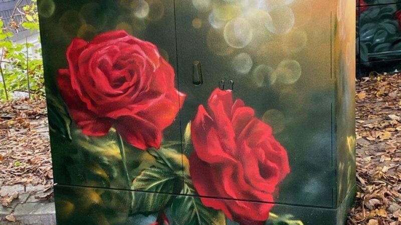 Kunst in Hückeswagen: Hübsch bemalte Stromkästen sind ein echter Hingucker