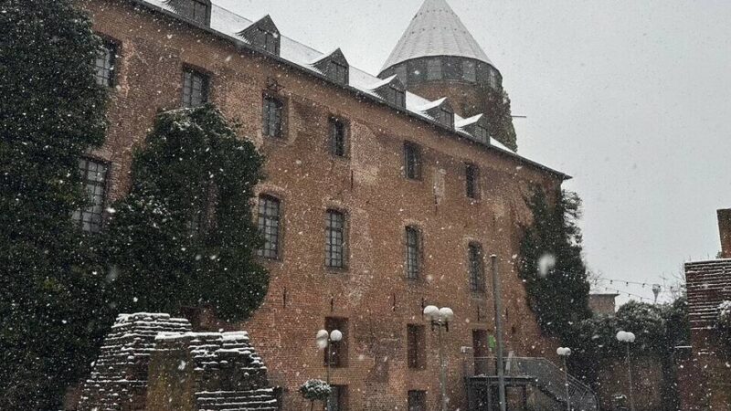 „Das Flüstern der Tiere“: Ausstellung im Kultursaal der Burg