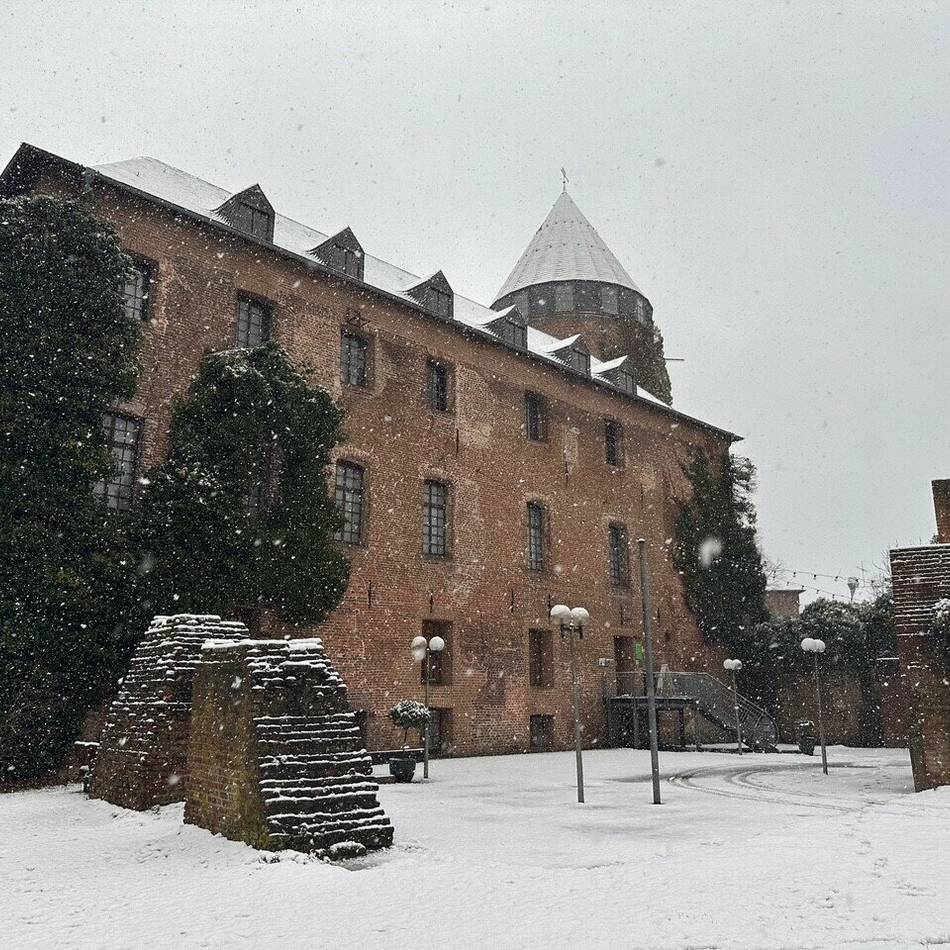 „Das Flüstern der Tiere“: Ausstellung im Kultursaal der Burg