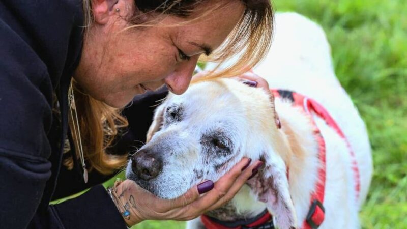 „Amato Cane“ aus Grevenbroich: Verein kauft in Italien Grundstück für Straßenhunde