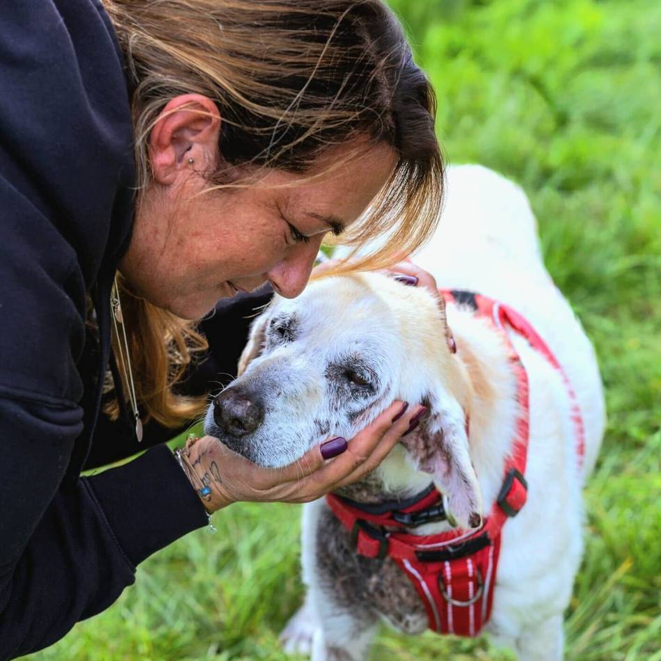 „Amato Cane“ aus Grevenbroich: Verein kauft in Italien Grundstück für Straßenhunde