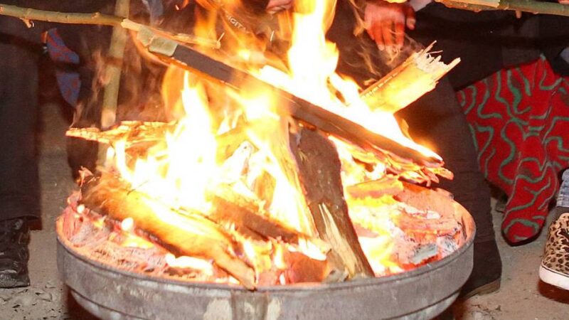 Angebot für Kinder zwischen 8 und 13 Jahren: Fünf Tage Waldabenteuer für 15 Euro Eigenbeitrag