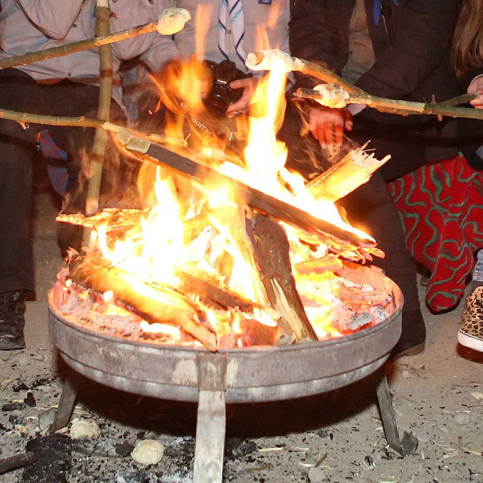 Angebot für Kinder zwischen 8 und 13 Jahren: Fünf Tage Waldabenteuer für 15 Euro Eigenbeitrag