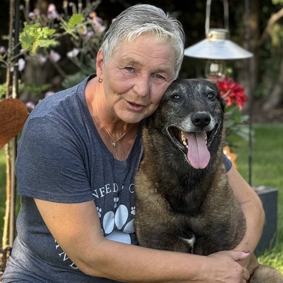 Tipps von Pfotenprofis: Neues Jahr, neue Ideen – sinnvolle Beschäftigung für den Hund