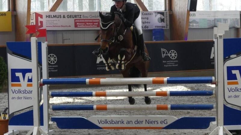 Auftakt in die Hallen-Saison: So groß wird das Reitsport-Wochenende des RFV Asperden-Kessel
