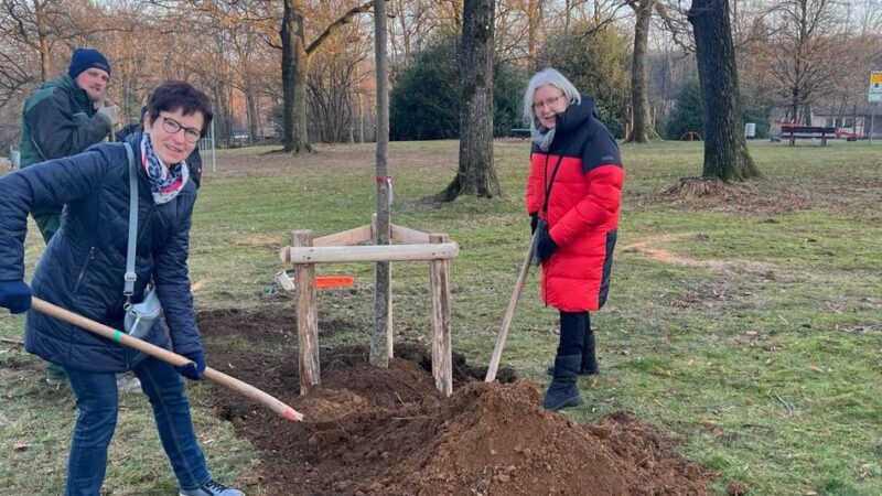 Grünanlagen in Radevormwald: Neue Bäume werden gepflanzt – auch dank Spendern