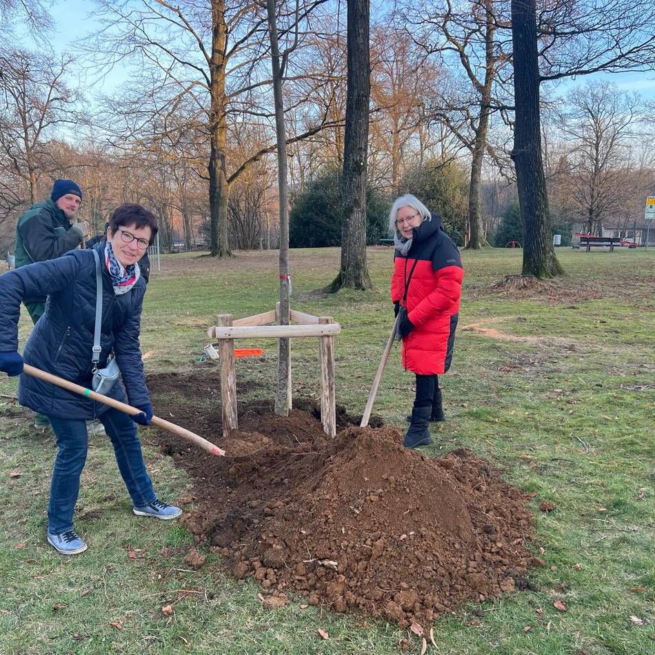 Grünanlagen in Radevormwald: Neue Bäume werden gepflanzt – auch dank Spendern