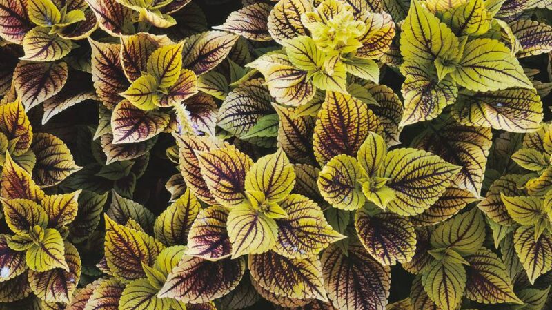 Neues Projekt von Thomas Schütte: Düsseldorfs neue Kunsthalle steht an der Hüttenstraße