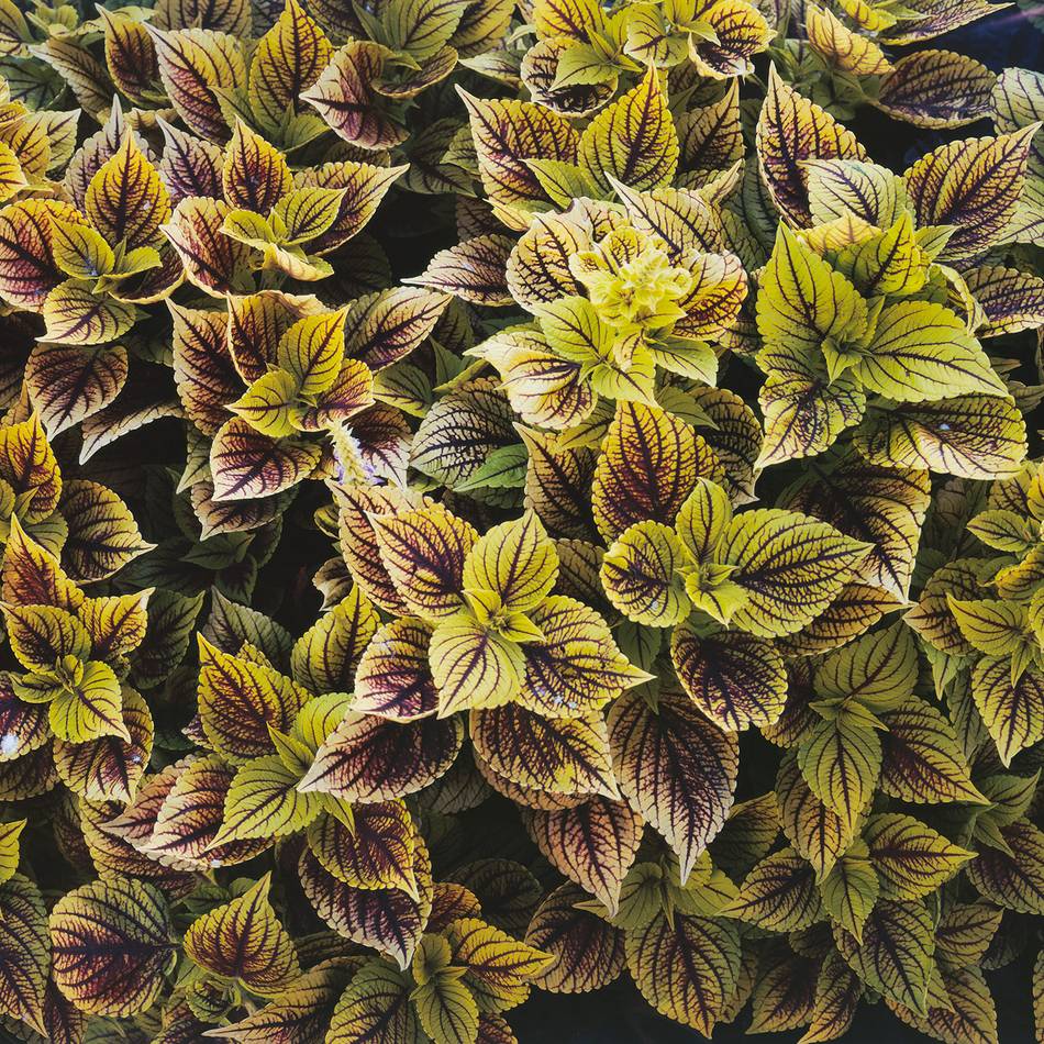 Neues Projekt von Thomas Schütte: Düsseldorfs neue Kunsthalle steht an der Hüttenstraße