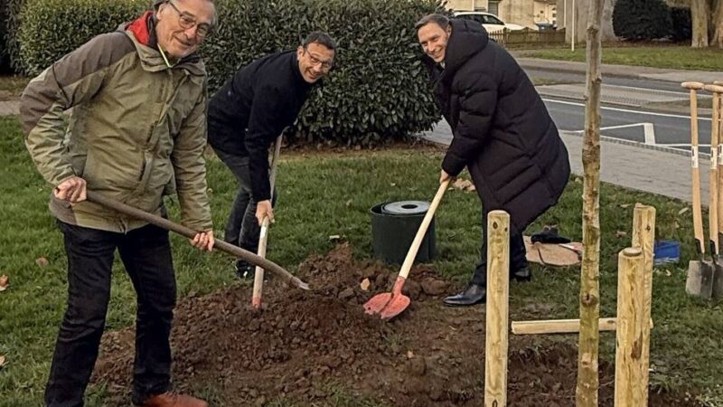 40 Jahre Engagement in der Kommunalpolitik: Ein Walnussbaum für Hajo Siemes