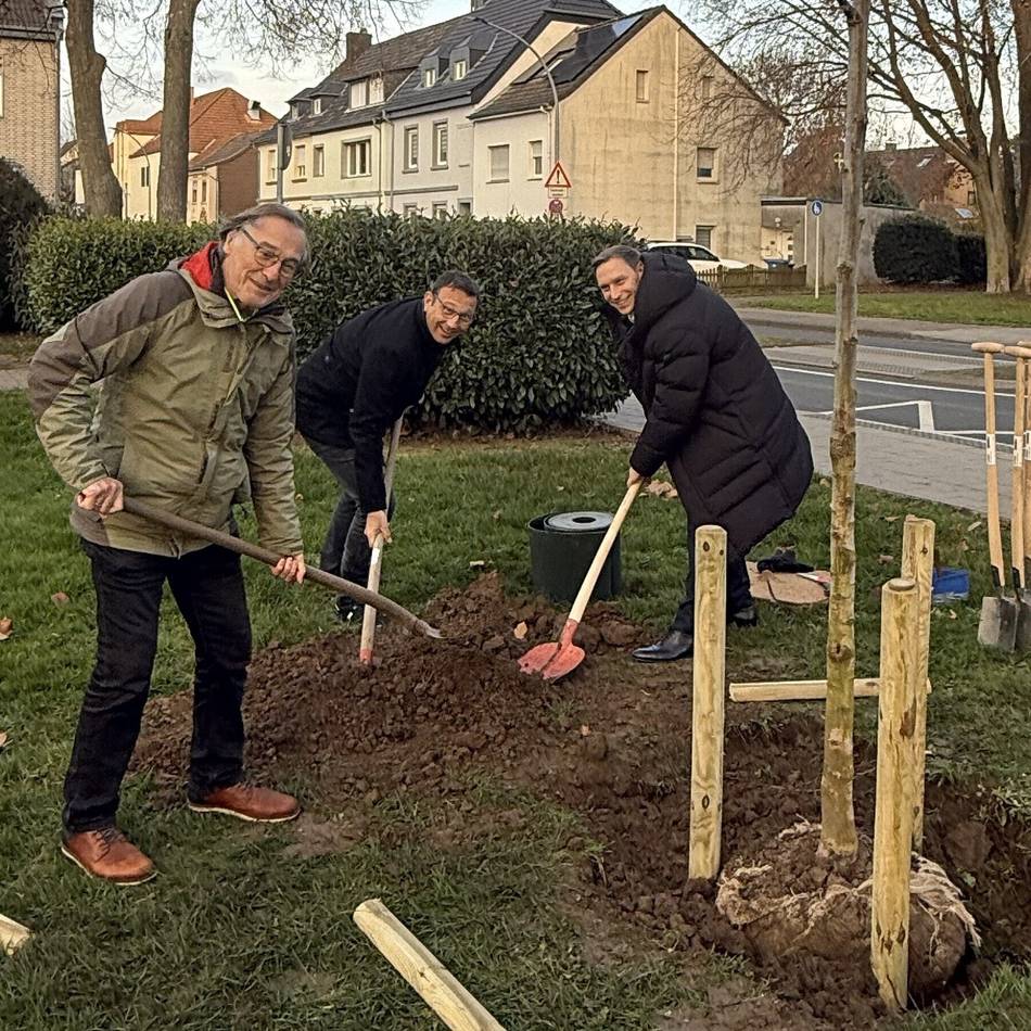 40 Jahre Engagement in der Kommunalpolitik: Ein Walnussbaum für Hajo Siemes