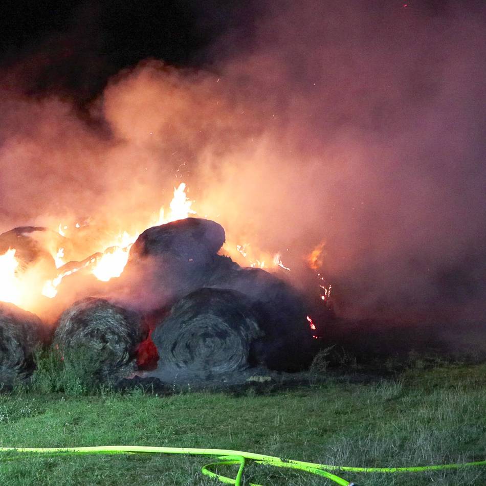 Berufserkundungstage: Welche Jobs es im Stadtkonzern Dormagen gibt