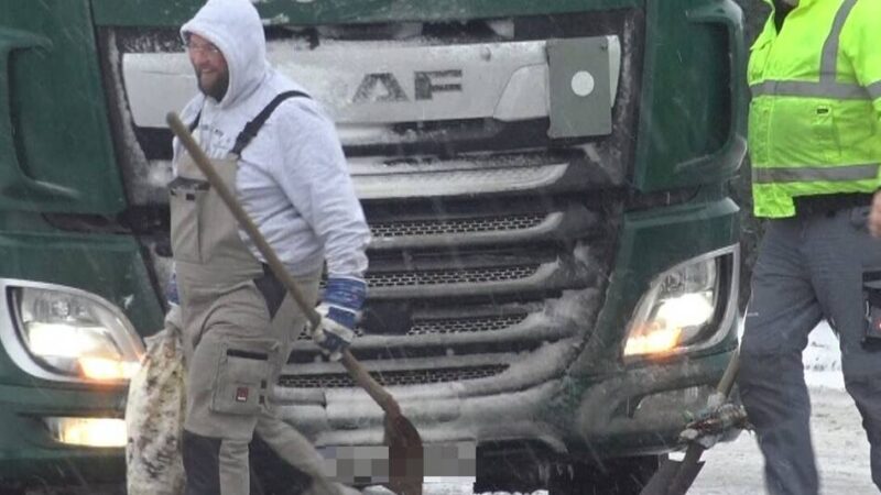Wetter im Kreis Kleve: Neuschnee, Verkehrsunfälle – und stürmische Aussichten