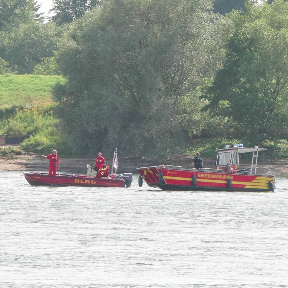 Grundstück in Rheinfeld: So geht es weiter mit dem DLRG-Neubau