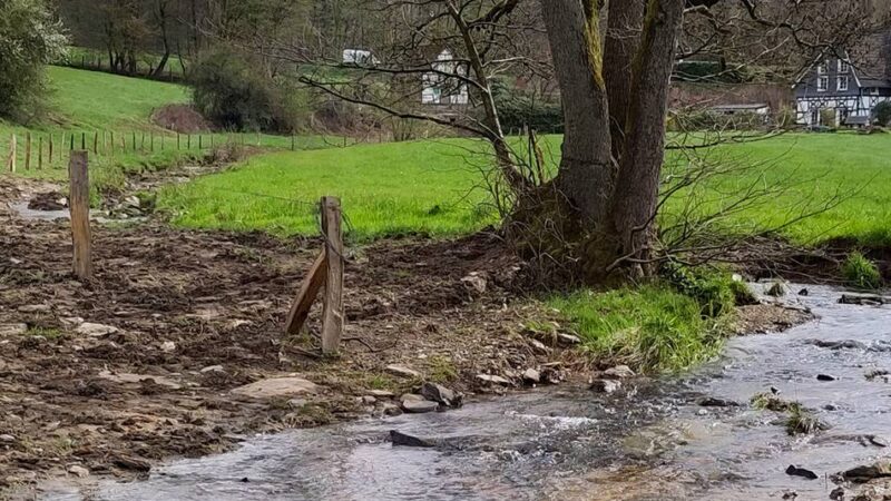 Gewässer in Radevormwald: Wupperverband führt Maßnahmen an Rader Bächen durch