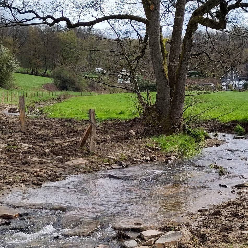 Gewässer in Radevormwald: Wupperverband führt Maßnahmen an Rader Bächen durch