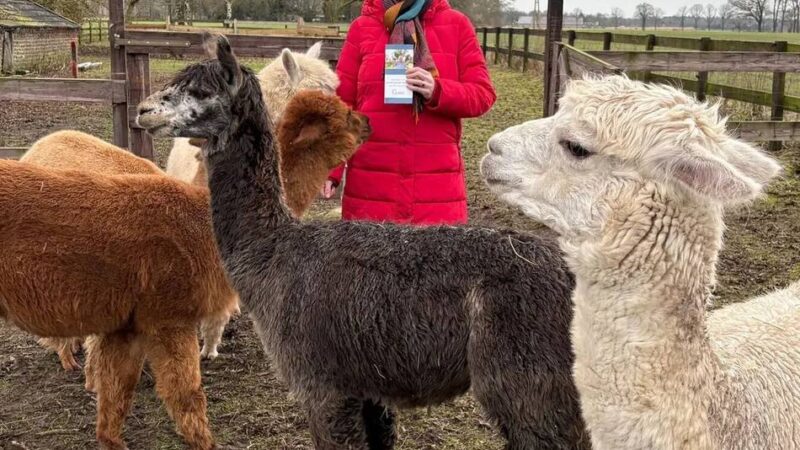Gocher Seniorenbüro bietet an: Bei Demenz können Ausflüge und Spaziergänge wohltun