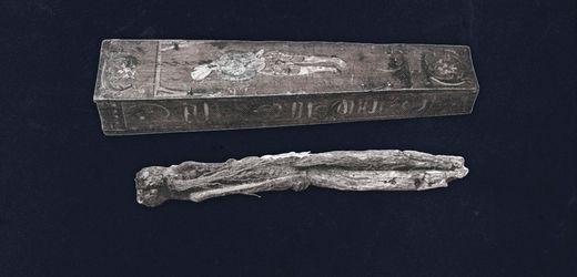 Legenden über Alraunen: Die teuflische Macht der Galgenmännchen