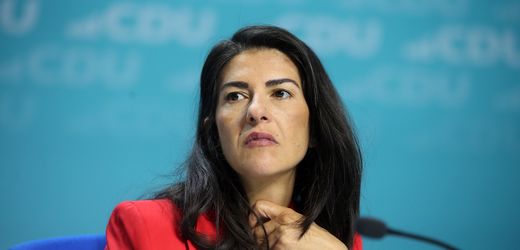 AfD: Wer die Brandmauer erfand und was sie bedeutet – Meinung