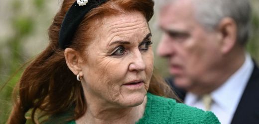 Jeffrey Epstein: Sechs Firmen von Sarah Ferguson schließen wegen Enthüllungen
