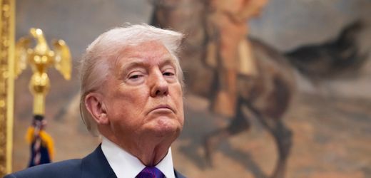 USA – Republikaner gegen Donald Trumps Kanada-Zölle: Der Kongress existiert noch