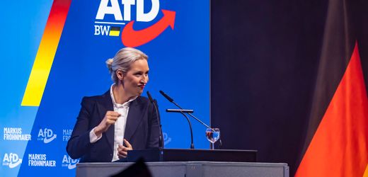 AfD: erste Rücktrittsforderungen wegen der Verwandtenaffäre