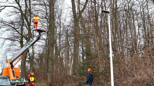 Baumfällarbeiten am Werkerwald in Heiligenhaus führen zu Verkehrseinschränkungen