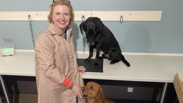 Damit’s dem Hund besser geht: Velberter Salon hat neues Angebot