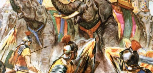 Spanien: Haben Forscher einen Knochen von Hannibals Kriegs-Elefanten entdeckt?
