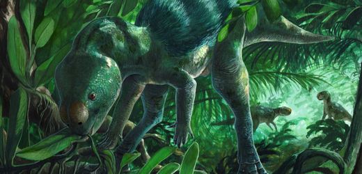 Dinosaurier: Forscher entdecken Mini-Dino in Spanien