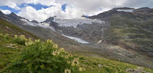 Familiengeschichte: Verbotene Liebe zwischen Tirol und Buenos Aires