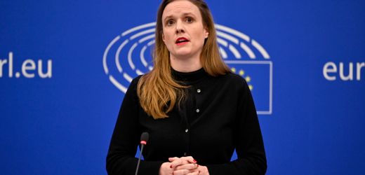 Europaparlament: Wer sind die Grünen, die gemeinsam mit Rechtsextremen gestimmt haben?