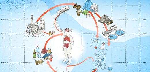 Mikroplastik als Gesundheitsgefahr: Zweifel an Studien zu Herzinfarkt und Demenz